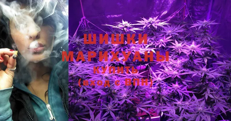 Бошки марихуана White Widow  KRAKEN рабочий сайт  Котельнич 